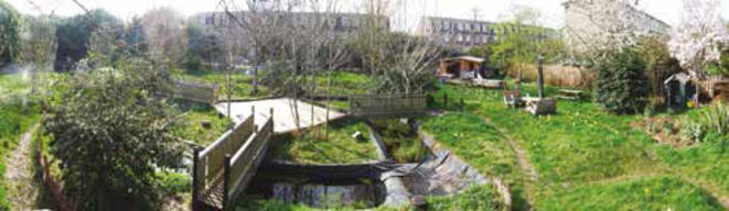 Old Tidemill wildlife Garden